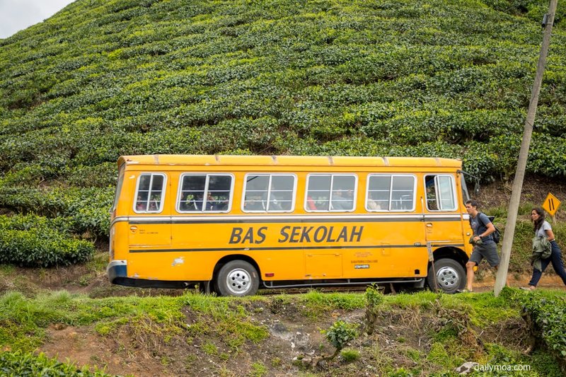 고속버스 좌석 위 선반에 가방 보관 장면