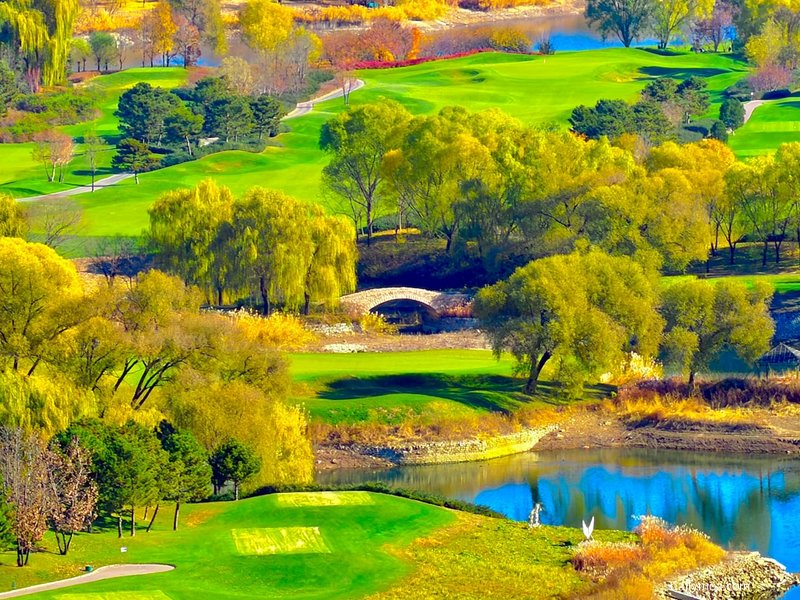 넓고 푸른 페어웨이와 울창한 숲이 어우러진 골프 코스 전경