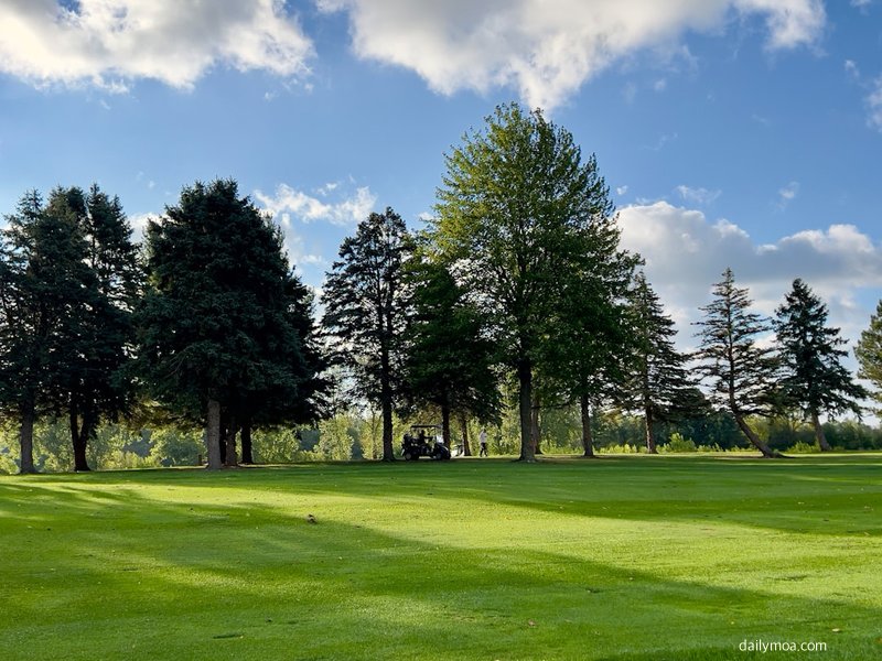 골프장 그린 위에서 퍼팅을 준비하는 골퍼의 모습