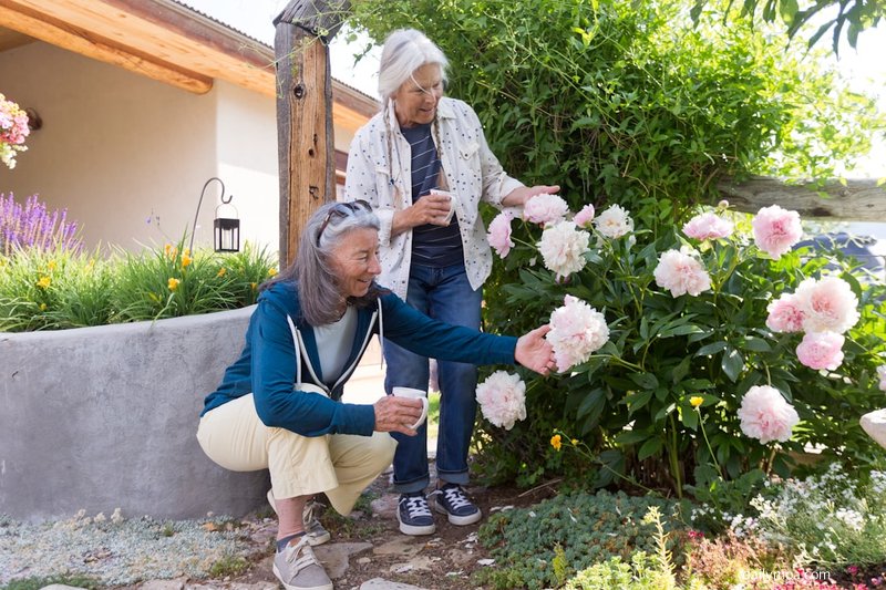주택연금 가입 조건과 월 수령액 계산 방법