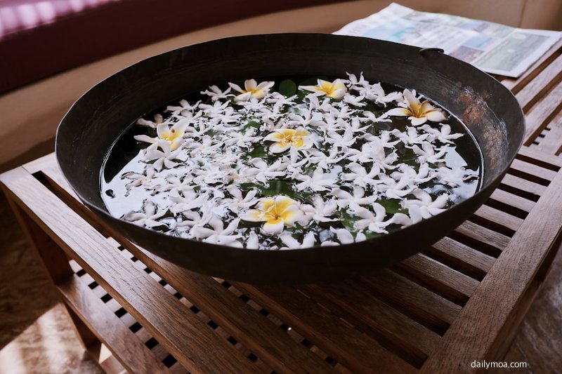 계란 볶음밥 강불 조리와 밥알이 고슬한 완성 과정