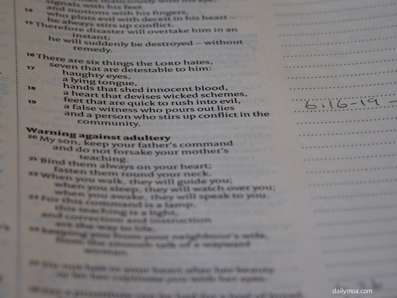 회계사 시험 합격 후 자격증 관련 서류를 검토하는 장면