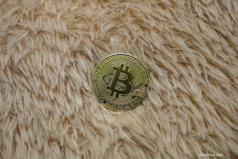 스마트폰 화면에서 암호화폐 가격 조회 앱을 열어 비트코인 실시간 시세를 확인하는 모습