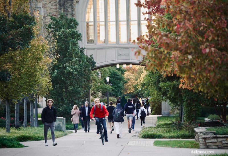 대학 캠퍼스에서 노트북을 펼치고 공부하는 학생들
