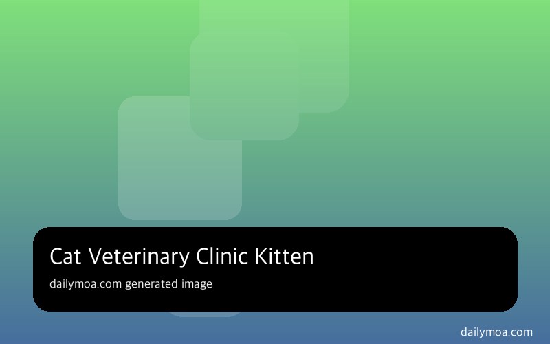 수의사 진료대 위에 앉아 있는 어린 고양이의 모습