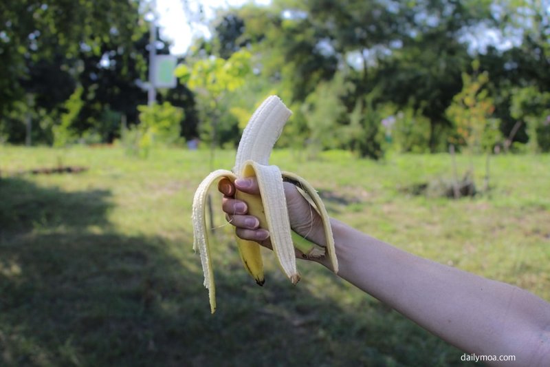 편의점 간식 제품의 영양성분표를 꼼꼼히 확인하는 사람의 손 모습