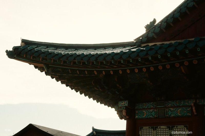 조선 시대 한국 역사 문화