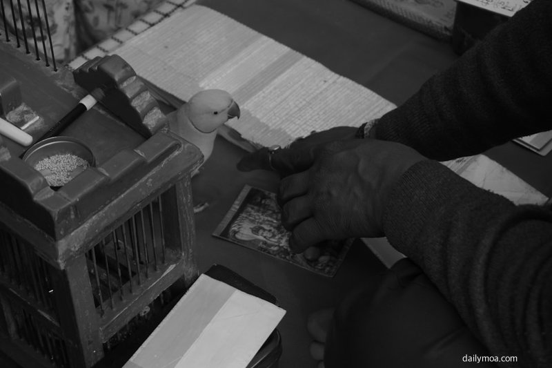 곽튜브 유튜버 여행 콘텐츠