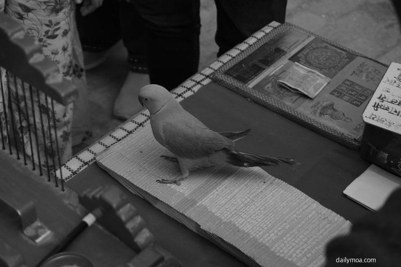 사주 명리학 분석 자료