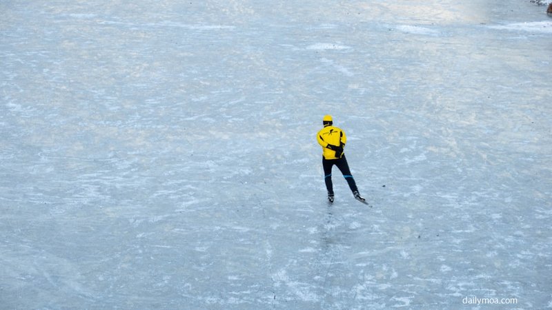 동계 스포츠 빙상 경기장 전경