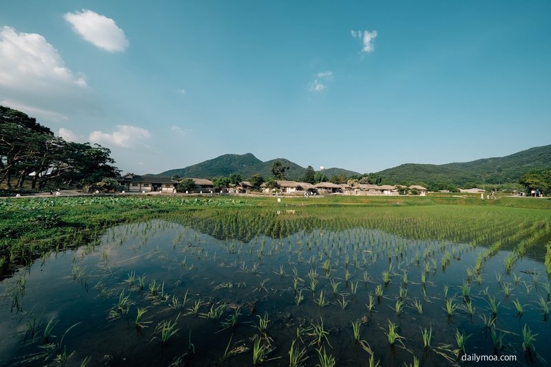 한국 자연 풍경 여행 다큐멘터리 촬영