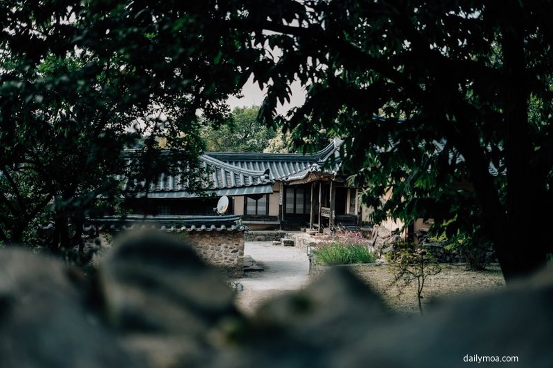 KBS 방송 여행 다큐 촬영 자연 풍경 한국