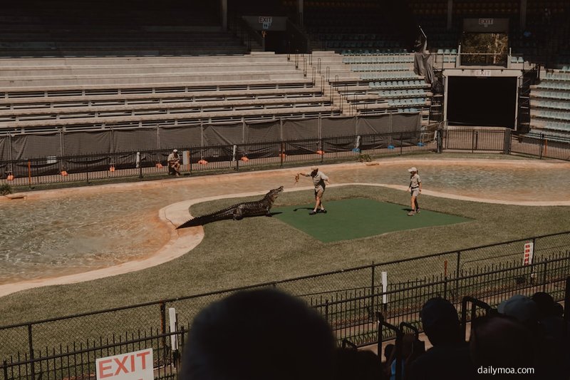 다나카 마미코 농구 선수 경기 장면
