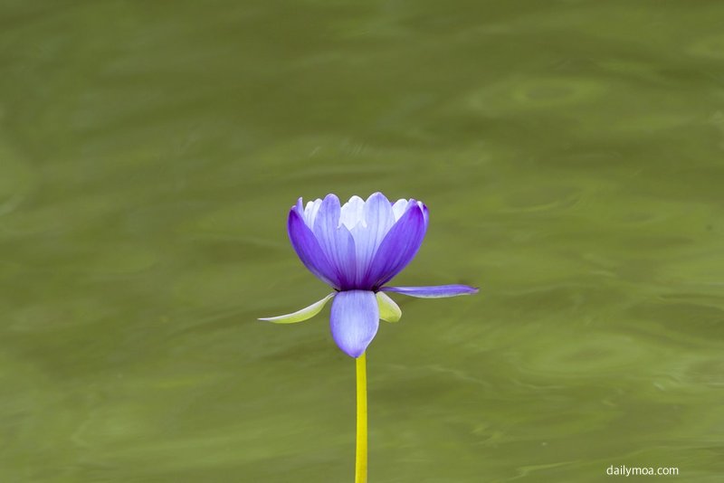 RPG 게임 전략 파티 구성 배치 이미지