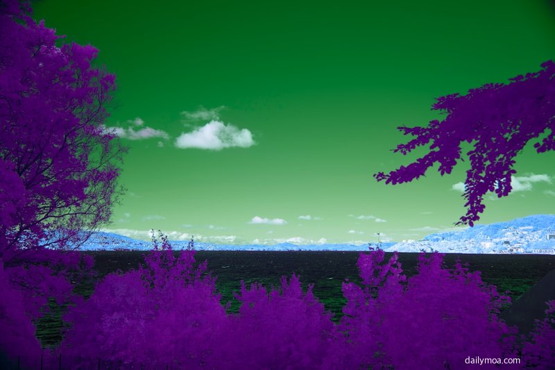 명일방주 스테이지 공략 편성 핵심 포인트