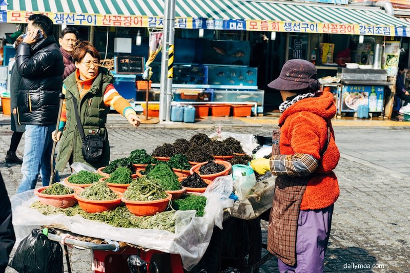 tvN 예능 언니네 산지직송 방송 관련 이미지