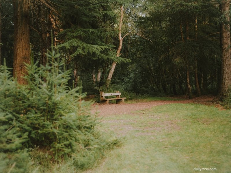 전북 정읍 국립공원 숲 산책로 이미지