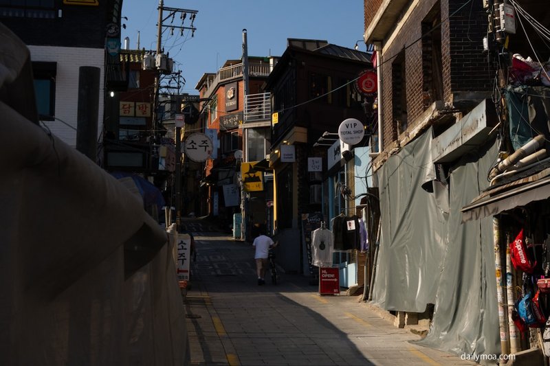 짜잔씨 대학 학력 정보 정리