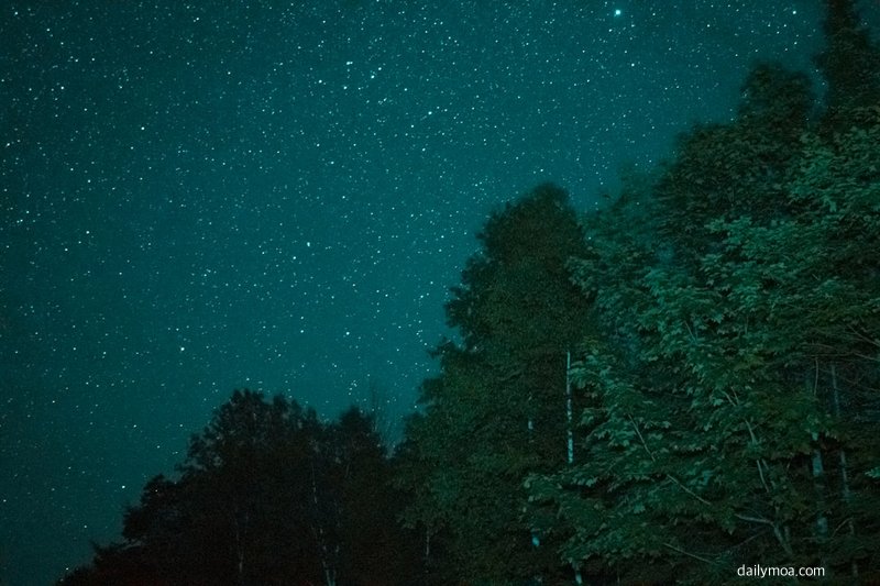 재물과 행운을 상징하는 꿈해몽 이미지