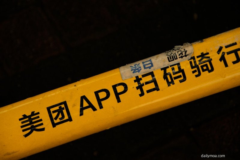 파파고 앱 카메라 번역 기능 사용 장면