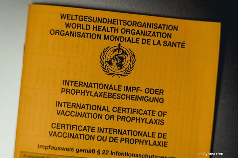 보건증 인터넷발급 온라인 신청 화면