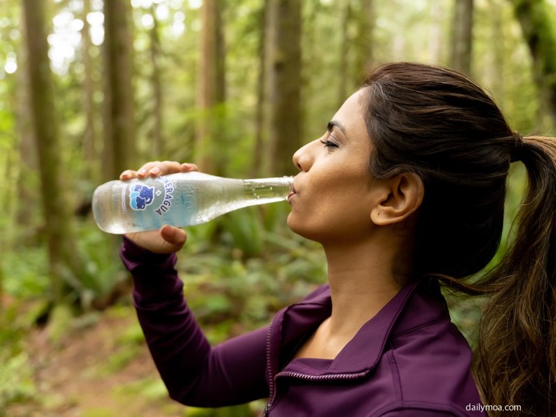 딸꾹질 원인을 설명하는 횡격막 구조 이미지