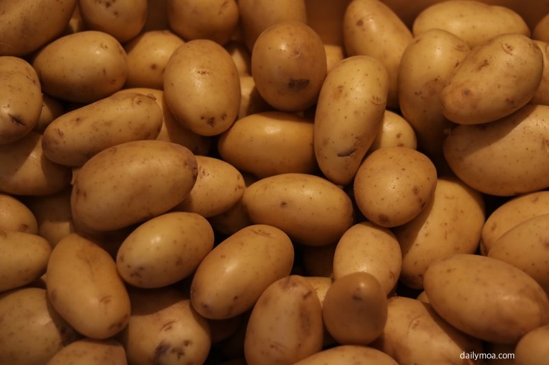 감자 삶기 팁과 찜기 활용법