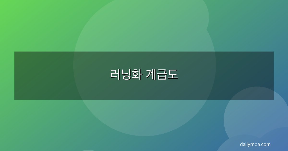 러닝화 계급도 브랜드별 등급