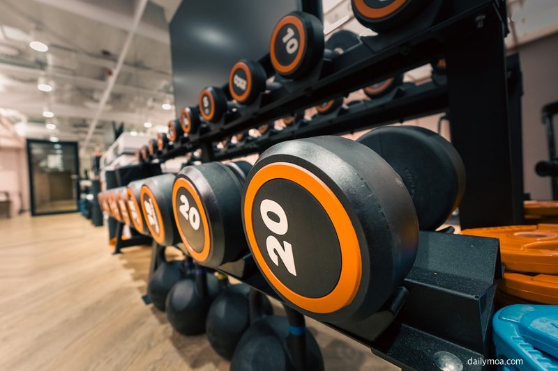 삼손다우다 보디빌더 프로필 미스터올림피아 2024 챔피언