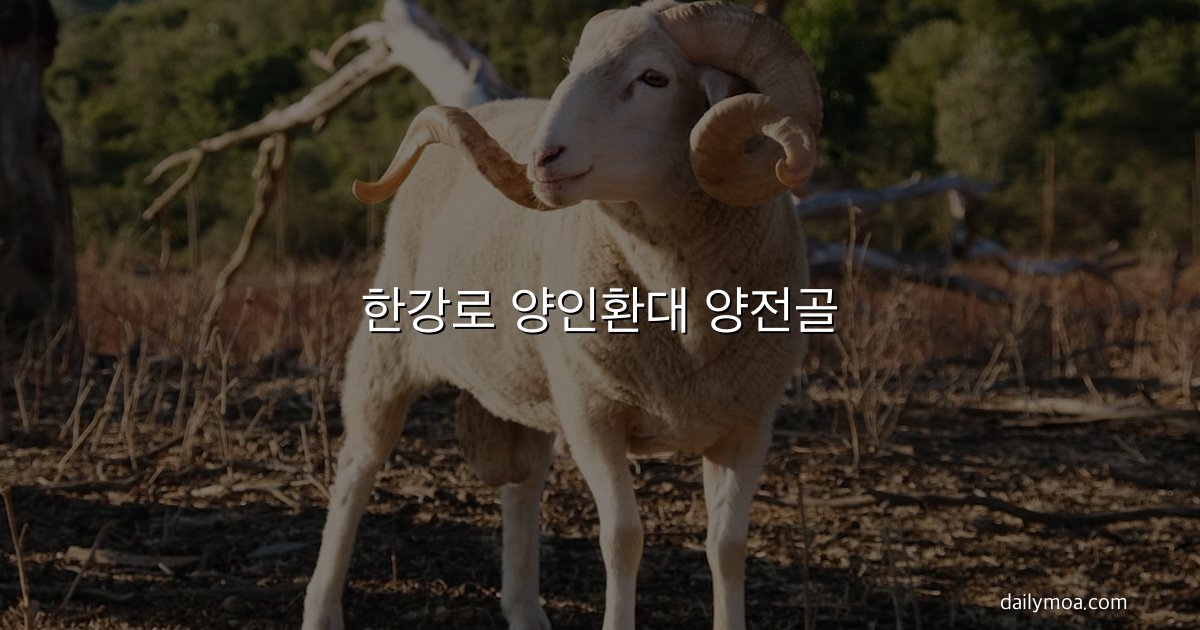 한강로 양인환대 양전골