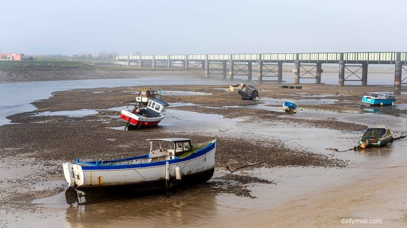 물때표 확인 후 해안 일정 준비 예시