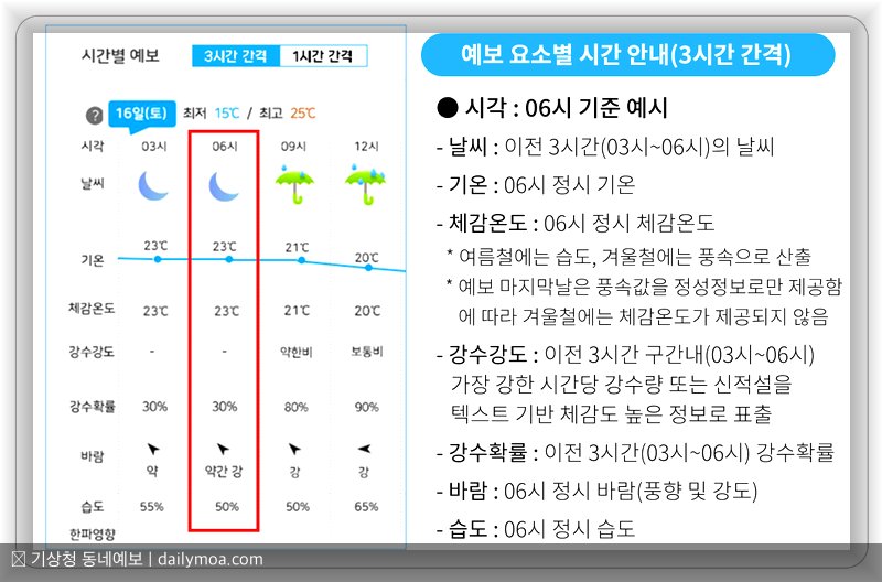 동네예보 활용 팁